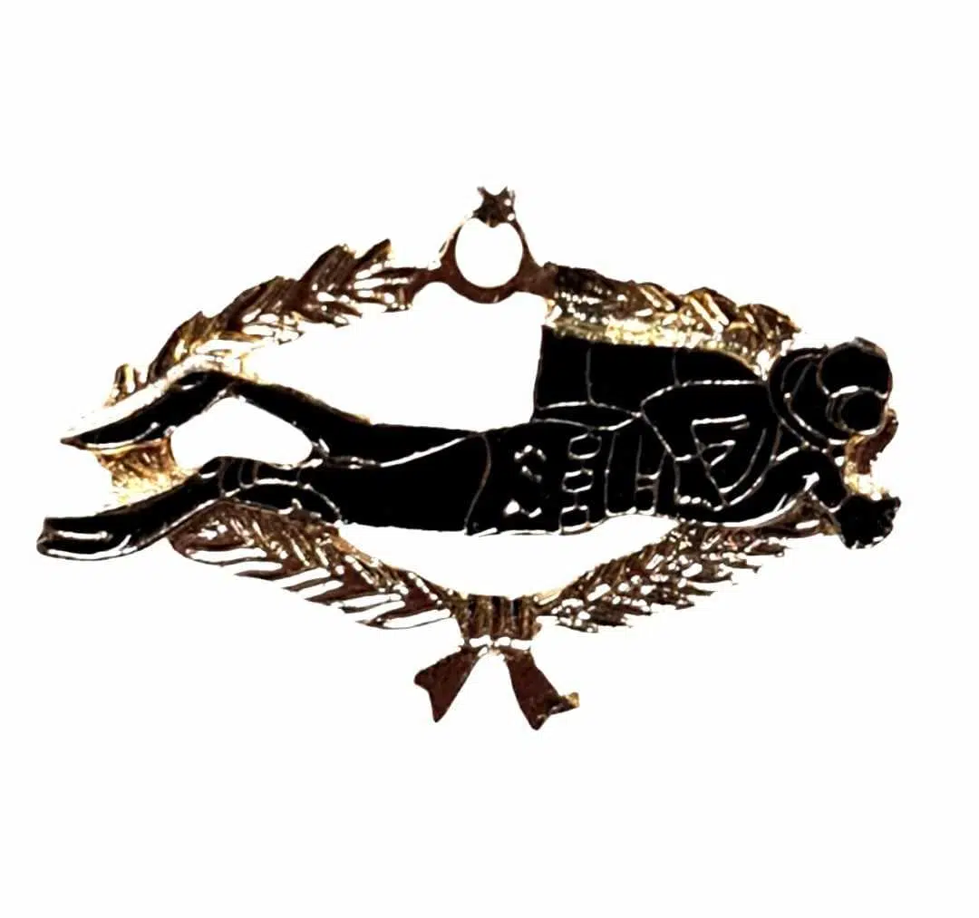 Balık Adam Brövesi