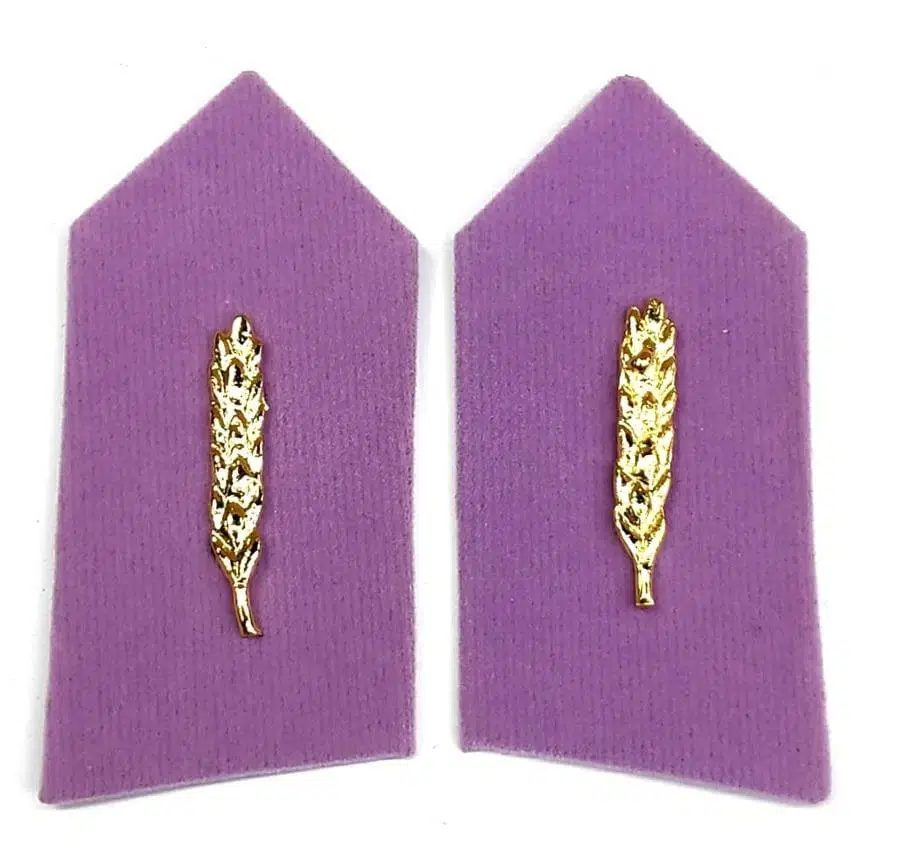 HARİCİ ASTSUBAY İKMAL SPOLET - YAKA İŞARETİ