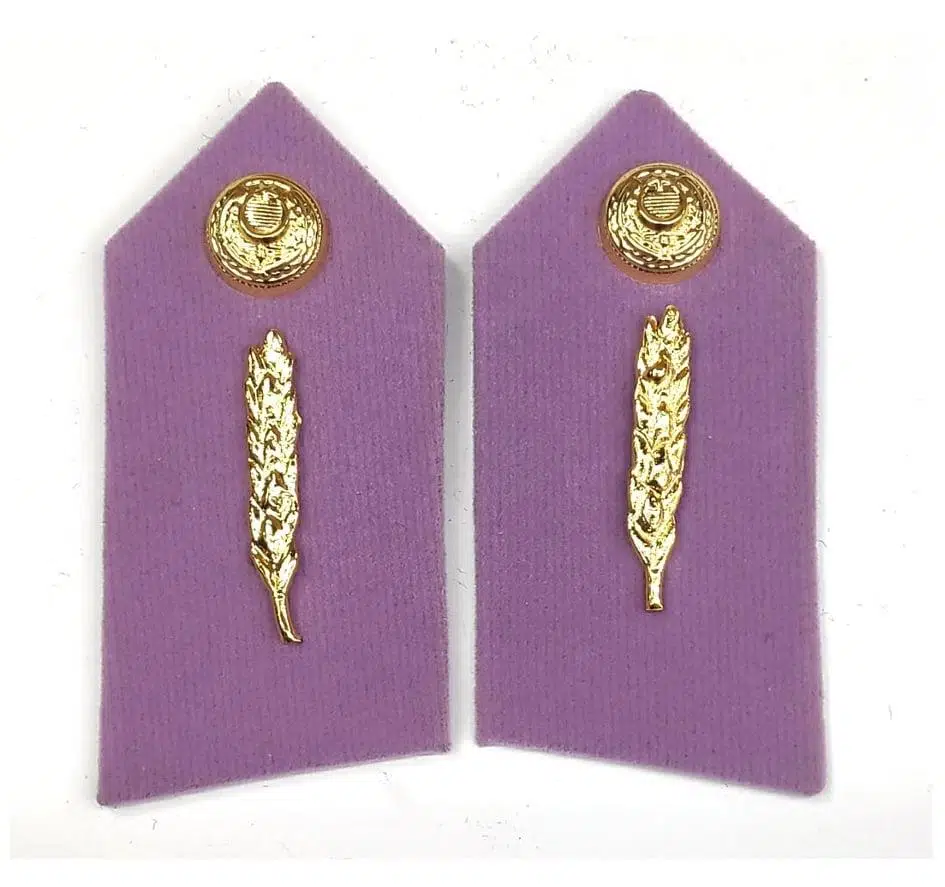 HARİCİ SUBAY İKMAL SPOLET - YAKA İŞARETİ