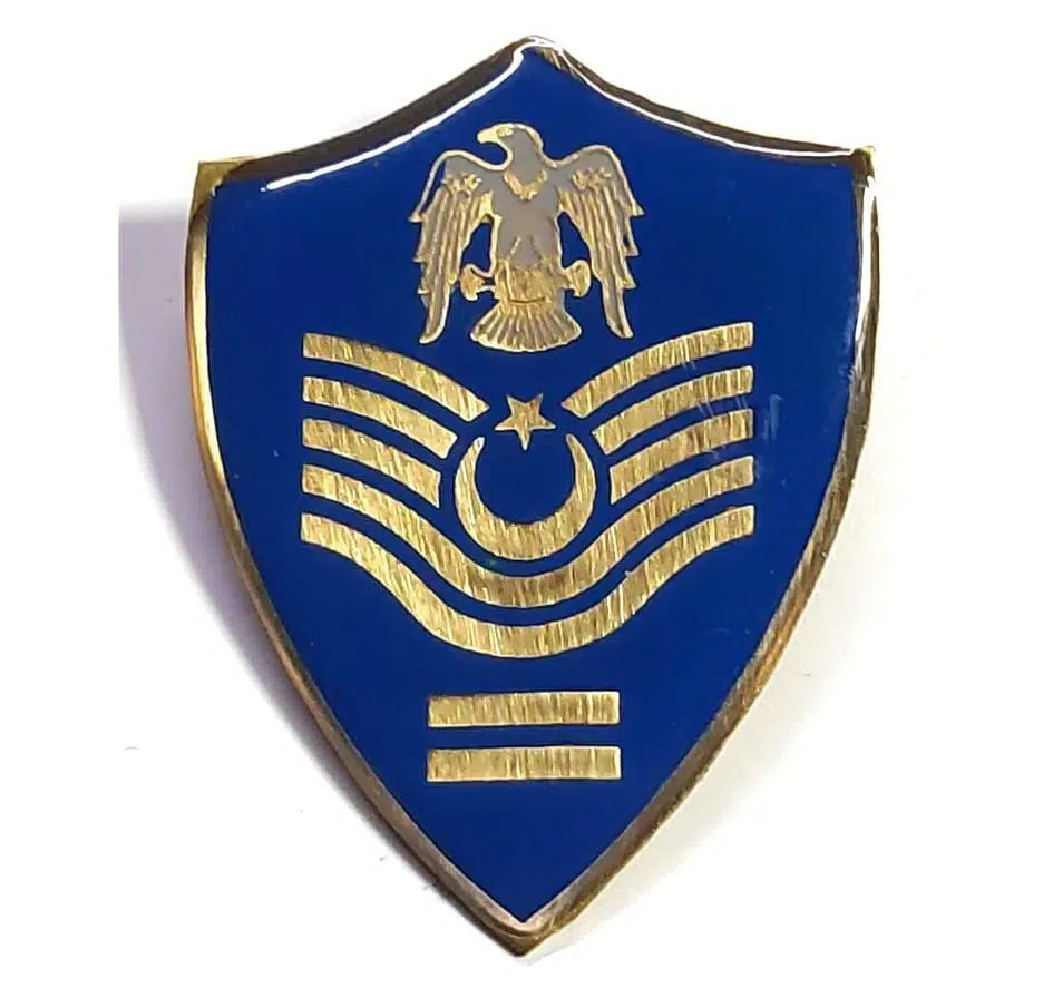 Minyatür Rütbe Kıdemli Başçavuş Hava Kuvvetleri Sağlık Sınıfı