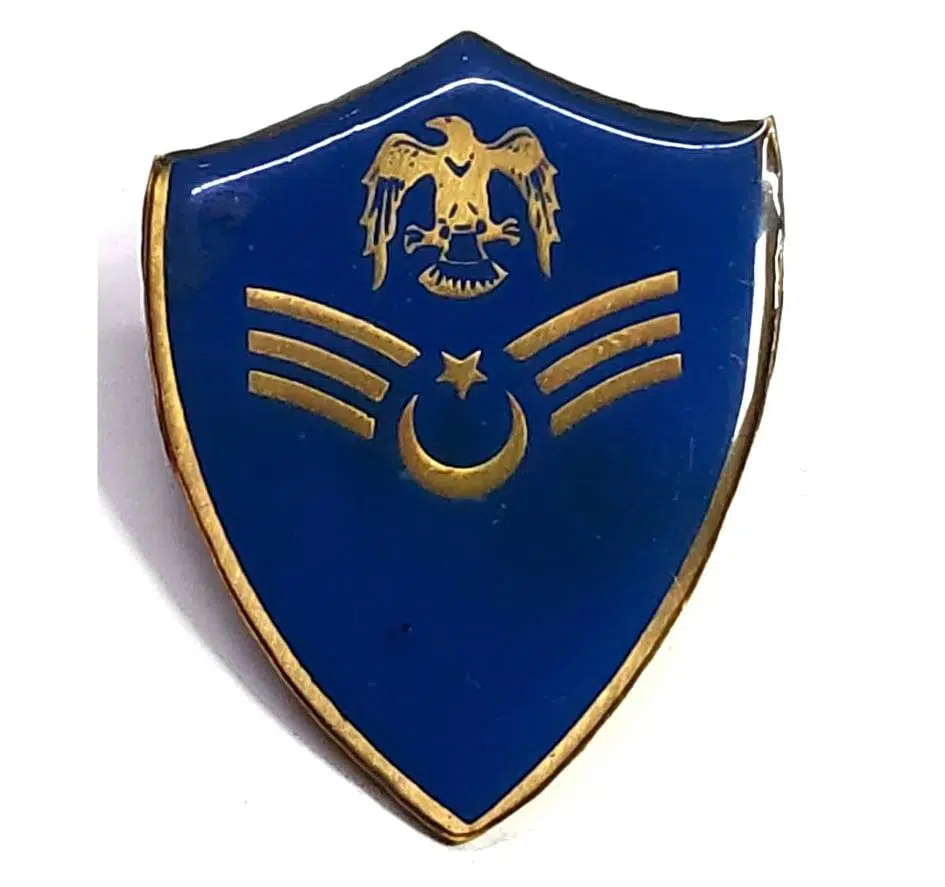 Minyatür Rütbe Astsubay Kıdemli Çavuş Hava Kuvvetleri Sağlık Sınıfı